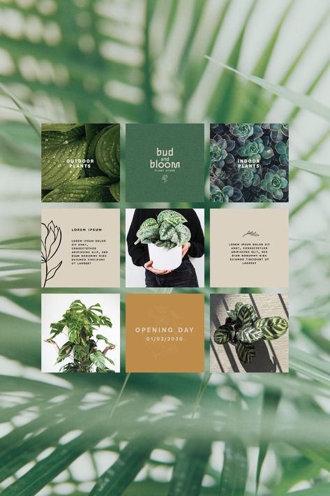 Plant Social Media Post, Organic Advertising, Leafs Aesthetic, Media Branding Design, Sun Template, Natural Illustration, Palm Plants, Yellow Icon, Plant Store