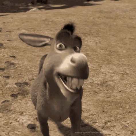 Shrek Donkey, Smile Gif, Animated Emoticons, Funny Cartoon Pictures, Happy Gif, Funny Cartoon Gifs, Movie Gifs, 웃긴 사진, Cartoon Gifs