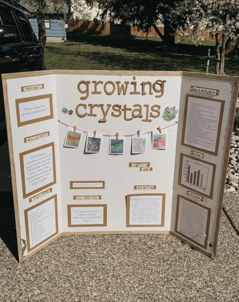 School Project Booklet Ideas, Poster Board Ideas School Project Layout, Science Poster Making Ideas, Lapbook Aesthetic, Science Fair Display Board, Tri Fold Poster Board, Tri Fold Poster, Science Fair Board, Text Conversation Starters