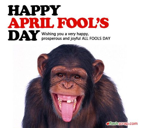 Happy April Fools Day april fools day april fools april fools quotes happy april fools day happy april fools day quotes funny happy april fools day quotes Happy April Fools Day Images, Happy April Fools Day, April Fool Quotes, April Fools Day Image, April Fools Day Jokes, April Quotes, April Fools Joke, Sunshine Quotes, April Fools Day