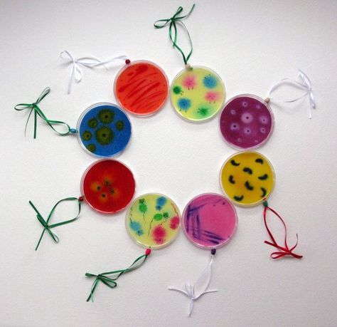 Petri Dish Ornaments - If I had a tree I'd make some of these! Science Ornaments Diy, Chemistry Ornaments, Science Ornaments, Science Christmas Ornaments, Science Christmas, Christmas Science, Diy Preschool, Diy Christmas Tree Ornaments, Christmas Ornaments Diy