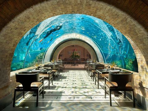 Now that's dinner and a show! Hotel Restaurant Interior Design, Apurva Kempinski Bali, Venice Los Angeles, Underwater Hotel, Bali Restaurant, House Of The Future, Underwater Restaurant, Nature Resort, Celebration Dinner