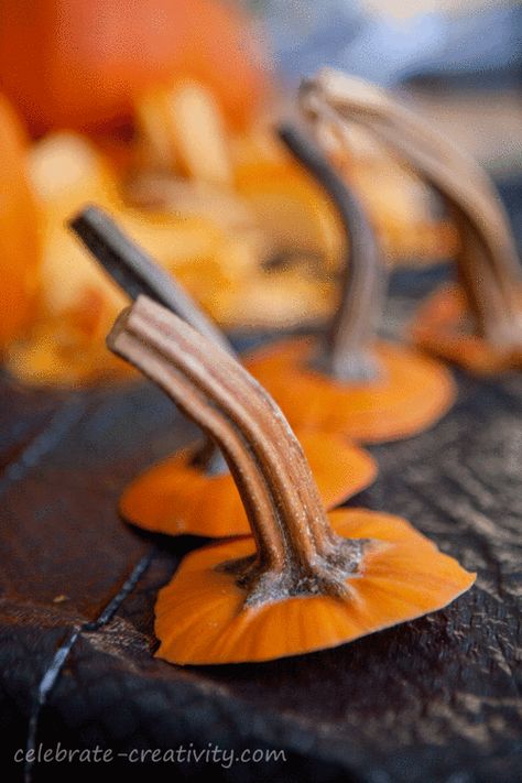 How to Dry Pumpkin Stems Pumpkin Stems, Outside Fall Decor, Rope Shelf, Shelf Book, Halloween Party Snacks, Halloween Pumpkins Painted, Easy Fall Crafts, Pumpkin Stem, Pumpkin Projects