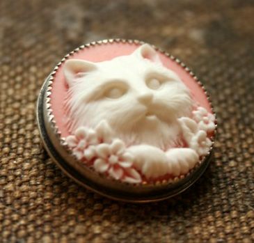 actual cat cameo. purrrrrrty! Umbridge Aesthetic, Dolores Umbridge, Rubeus Hagrid, Welcome To Hogwarts, Harry Potter Kids, Luna Lovegood, Harry Potter Aesthetic, Harry Potter Series, Cameo Brooch