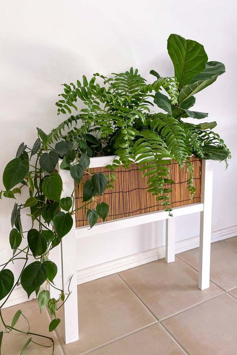 Indoor corner plant stand