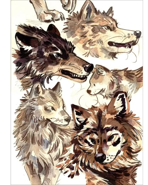 Wolves! Here's the sketchbook print for September. I had a blast drawing these big dogs! There will be a video process for this page too 🐺#sketchbook #illustration #wolves #wolf #drawing #artist #sketch #artdump #sketchdump Sketchbook Inspo Page, Realistic Wolf Drawing, How To Draw A Wolf, Forest Drawing With Animals, Wolf Drawing Sketch, Wolf Pencil Drawing, How To Draw Wolf, Anthro Reference, Wolf Sketches