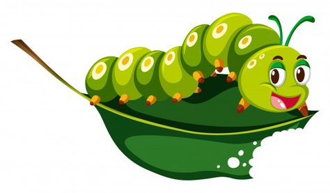 Cute caterpillar chewing green leaf Prem... | Premium Vector #Freepik #vector #leaf #green #nature #character Nursery Lesson Ideas, Vector Art Design, Butterfly Life Cycle, Horse Crafts, Cement Crafts, Bee Art, Poster Background Design, Book Design Layout, Spring Art