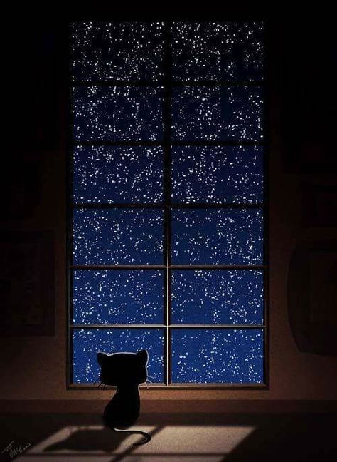 ¿Que piensan los gatitos cuando miran las estrellas? Sky And Stars, Slaap Lekker, A Black Cat, Tableau Art, Cats Illustration, The Night Sky, Pusheen, Crazy Cats, The Words