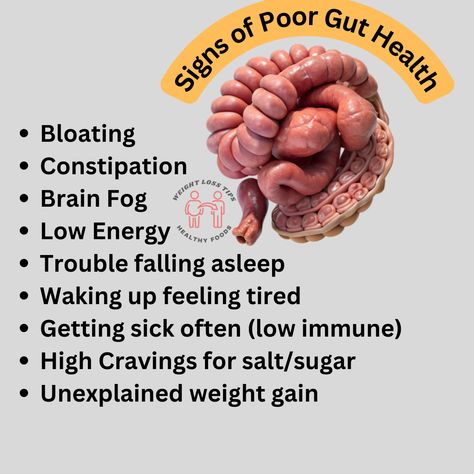 Feeling bloated, gassy, and constantly tired? 🤔 These could be signs of poor gut health! 😩🍔🍕🍟🍺🍷 #guthealth #digestion #bloating #guthealthmatters #healthylifestyle #wellness #probiotics #fiber #hydration #stress #processedfoods #sugar #inflammation #gutflora #gutbacteria Best Low Calorie Foods, Constantly Tired, Feeling Bloated, Body After Baby, Poor Digestion, Gut Flora, Gut Bacteria, After Baby, Healthy Ideas