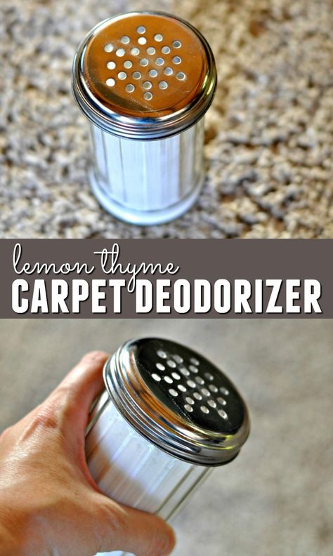 Clutter Hacks, Carpet Diy, Carpet Deodorizer, Carpet Freshener, Natural Mom, Cleaning Painted Walls, Lemon Thyme, Carpet Cleaning Hacks, Clean Green