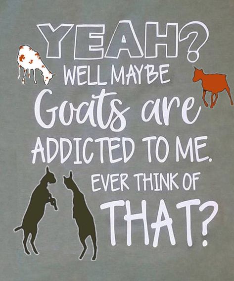 Goat Signs Funny, Goat Quotes Cute, Goat Quotes, Goat Quote, Goat Life, Livestock Quotes, Funny Goats, Goat Funny, Totes Ma Goats