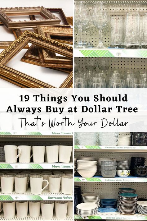 Let’s give Dollar Tree the credit it deserves. Beyond being a go-to for budget-friendly items, it’s a convenient one-stop shop that caters to a range of needs, from kitchen essentials to home basics. While Dollar Tree might not be your initial go-to for these items, it holds some surprisingly great finds. Dollar Tree Kitchen Decor, Dollar Tree Finds, Dollar Tree Decor, Home Basics, Cheap Home Decor, Kitchen Essentials, Dollar Tree, Dollar Stores, Budget Friendly