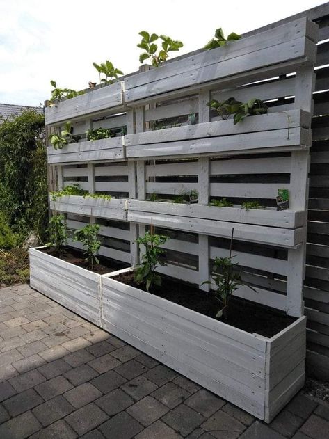 Pallet Garden Walls, Pallet Projects Garden, Pallet Garden, Pallets Garden, Have Inspiration, Patio Designs, Garden Yard Ideas, Outdoor Decor Backyard, Rooftop Garden