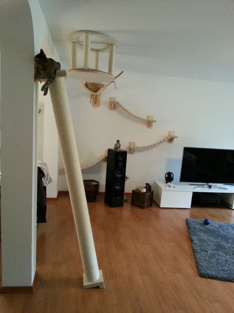 4 Cat Jungle Gym, Cat Tree Plans, Cat Jungle, Amazing Furniture, Cat Run, What Cat, Jungle Gym, Cat Post, Diy Cat