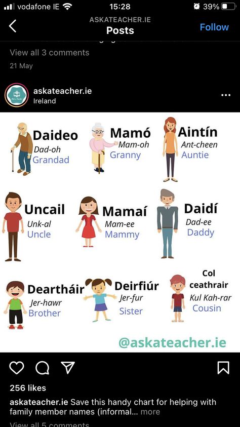 Learn Irish Language, Irish Notes, Gaelic Culture, Irish Gaelic Language, Celtic Language, Learning Irish, Gaelic Language, Gaelic Words, Irish Words