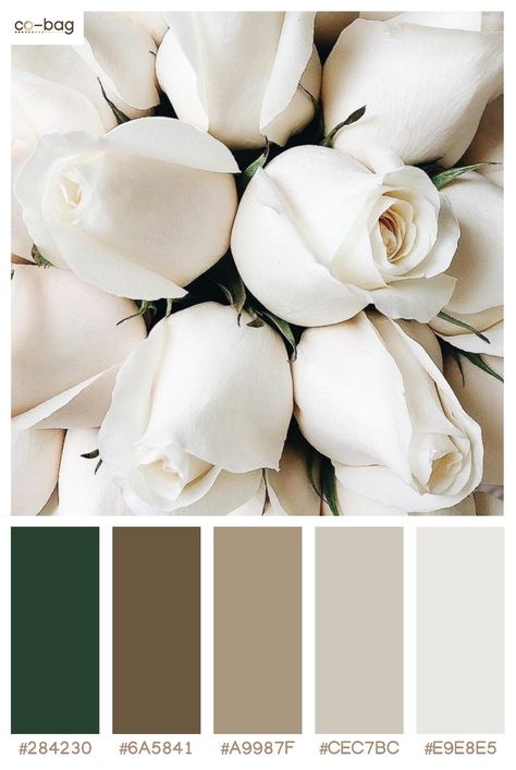 Off White Wedding Color Palette, White Rose Color Palette, Off White Pallete Color Palettes, Ivory Color Combinations Outfit, Soft White Color Palette, Ivory Colour Palette, White Color Pallet, Off White Color Combination, Broken White Color