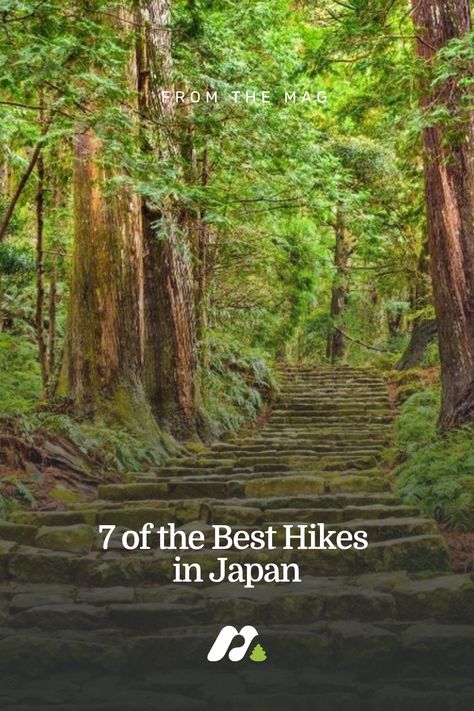 Stone steps through a cedar forest in Japan Japan Hikes, Hiking In Japan, Waterfalls In Japan, Japan Hiking, Japan Hidden Gems, Japanese Alps, Kumano Kodo, Kyoto Off The Beaten Path, Nakasendo Trail Japan