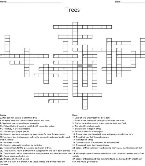 Pre-made Crossword you can print. Includes answers Crown, Trunk , Cambium, Dendrology, Arboriculture, Hazel , Chalara, Silver Birch  , Evergreen, Deciduous, Conifer, Beech , Willow, Silviculture, Norway Spruce  ,  Dioecious  , Phloem , Xylem, Photosynthesis, Chloroplast, Botany, Oak, Variegated, Root, Hybrid, Coppice, Genus, Scots Pine, Larch, and Cherry Printable Crossword Puzzles, Sample Question Paper, Flyers Design, Pamphlet Design, Crossword Puzzles, New Puzzle, Kids Table, Design Brochure, Science Worksheets