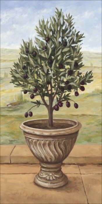 Olive Tree Painting, Living Room Plants Decor, Potted Olive Tree, Olive Plant, Indie Drawings, Desert Painting, Cottage Art, Art Plaque, Sketch Inspiration