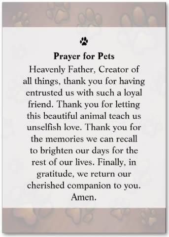 We return her to you, but wish we could have kept her forever. <3 Pet Sympathy Quotes, Dog Heaven Quotes, The Loss Of A Pet, Pet Poems, Beautiful Meme, Miss My Dog, Dog Poems, Sympathy Quotes, Dog Quotes Love