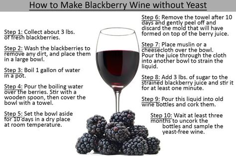 How to Make Blackberry Wine without Yeast | Home Beer and Wine Wine Making Recipes, Homemade Wine Recipes, Blackberry Wine, Old Wine Bottles, Homemade Liquor, Recycled Wine Bottles, Beer And Wine, Wild Yeast, Wine Preserver