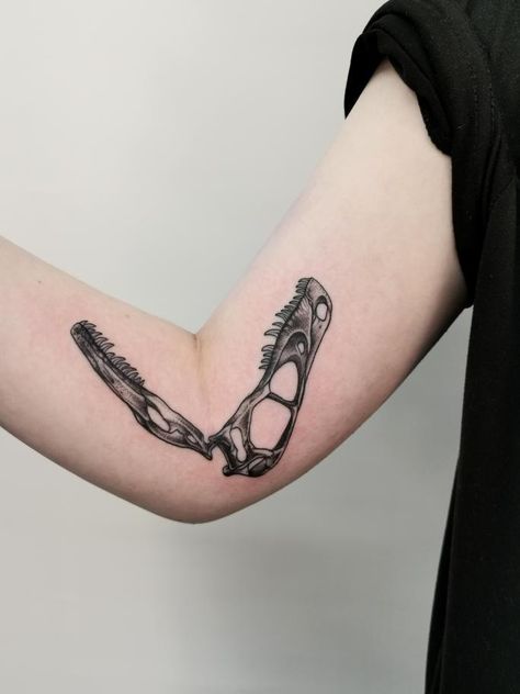 Tattoos That Bend, Arm Bending Tattoo, Bending Tattoos, Dinosaur Skull Tattoo, Movement Tattoo, Skin Doodles, Inside Of Arm Tattoo, Dinosaur Skull, Realism Tattoo