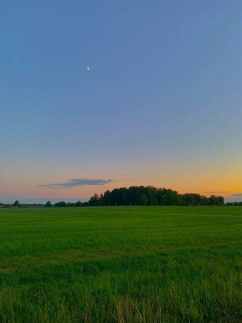 Open Land Aesthetic, Grass Fields Aesthetic, Field Astetic, Open Fields Aesthetic, Field Asthetic Picture, Priya Core Aesthetic, Peaceful Places Aesthetic, Sunset Field Aesthetic, Summer Field Aesthetic