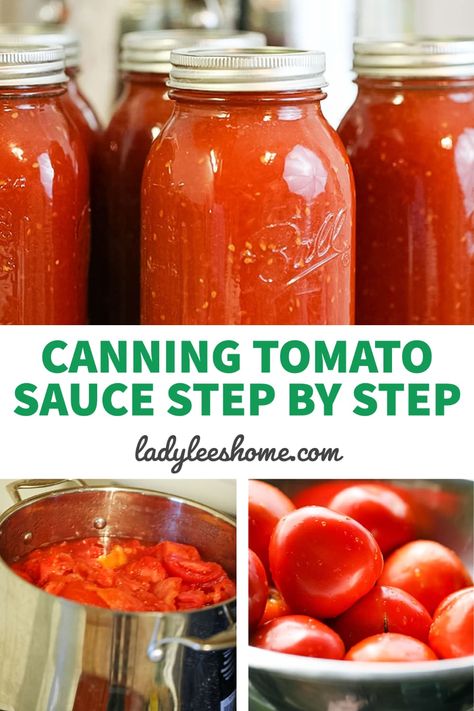 Canning Tomatoes Water Bath, Canning Tomato Sauce, Preserve Tomatoes, How To Make Tomato Sauce, Canning Tomatoes Recipes, Water Bath Canning Recipes, Can Tomato Sauce, Easy Canning, Pressure Canning Recipes