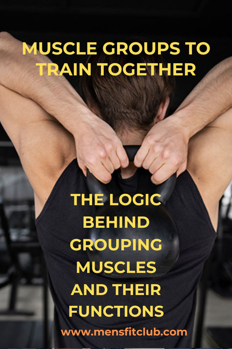 Graphic highlighting muscle groups that are ideal to train together in a workout routine. The visual pairs major muscle groups like chest and triceps, back and biceps, and legs with shoulders, showing how these combinations maximize workout efficiency and muscle growth. Each pair is accompanied by recommended exercises, such as bench presses for chest and triceps or deadlifts for back and biceps. Perfect for those looking to optimize their training sessions by targeting muscle groups. Muscles To Workout Together, Workout Muscle Groups, Muscle Group Workout Schedule, Muscle Groups To Workout Together, Workout Schedule For Women, Workout Schedule For Men, Muscle Groups To Workout, Workout Together, Gym Buddy