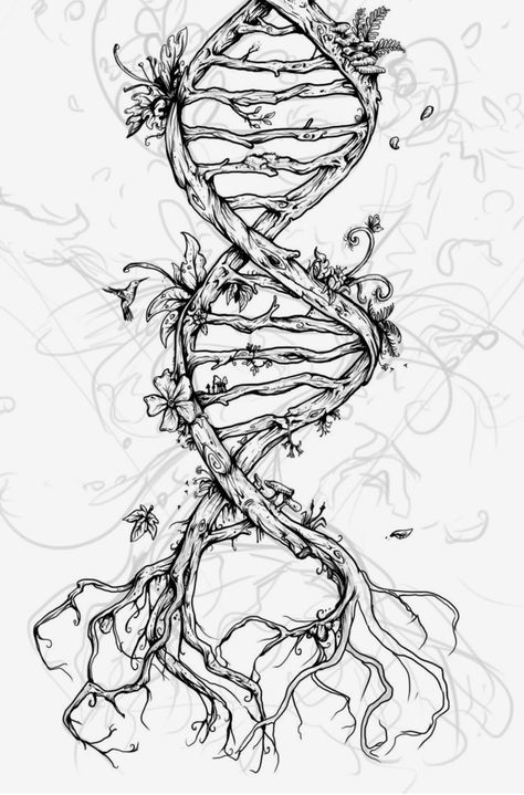 Biology Design, Biology Drawing, Science Tattoo, Science Drawing, Science Tattoos, Dna Art, Octopus Tattoos, Illustration Kunst, Biology Art