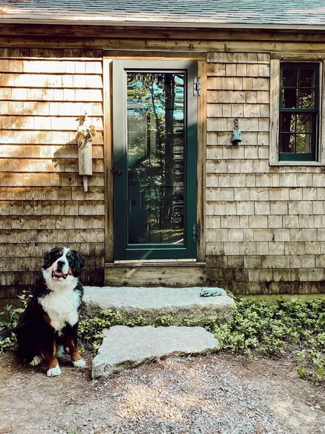 How To Restore Aged Cedar Shakes Siding | Hometalk Cedar Siding Exterior, Essex Green, Cedar Shingle Siding, Cedar Shake Siding, Cedar Shake, Shake Siding, Cedar Shakes, Maine Cottage, House Trim