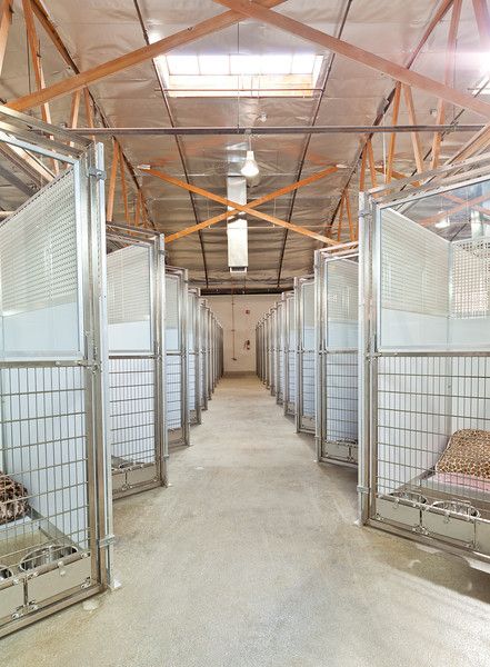 Barndominium With Dog Kennels, Luxury Pet Boarding, Barndominium Dog Kennel, Dog Sanctuary Ideas, Dog Boarding Facility Ideas Pet Resort, Commercial Dog Kennel Ideas, Dog Boarding Facility Ideas, Dog Breeders Kennels, Dog Daycare Design