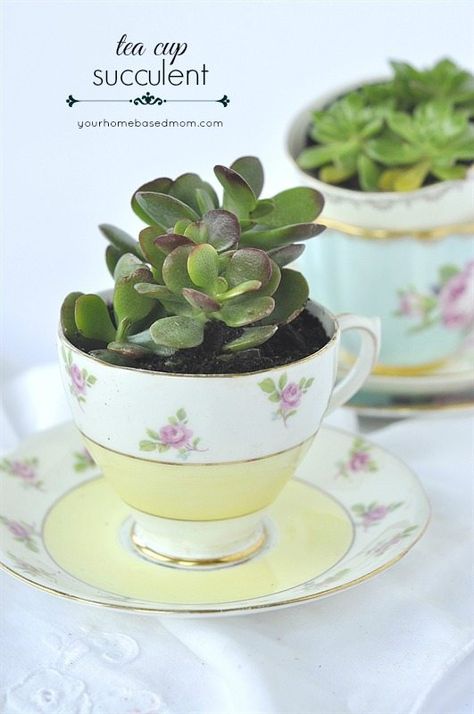 20-succulents-in-things-best-of-pinterest-3 Diy Fruit Bowl, Succulent Pots Diy, Succulent Wedding Table, Tea Cup Jewelry, Cup And Saucer Crafts, Diy Cake Stand, Teacup Crafts, Bridal Shower Decorations Diy, Succulent Centerpieces