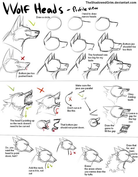 How I draw wolf heads by TheShadowedGrim on DeviantArt How To Draw Wolf, Draw Wolf, Lup Singuratic, Wolf Sketch, Drawing Heads, 강아지 그림, Wolf Drawing, Anatomy Drawing, Guided Drawing