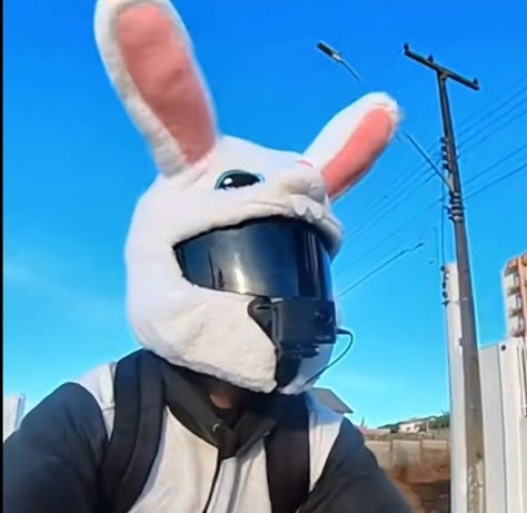 Bunny Helmet Biker, Motorcycle Bunny Helmet, Bunny Helmet, Motorcycle Guy, Biker Helmets, Spider Sona, Moto Car, Motorbike Helmet, They See Me Rollin