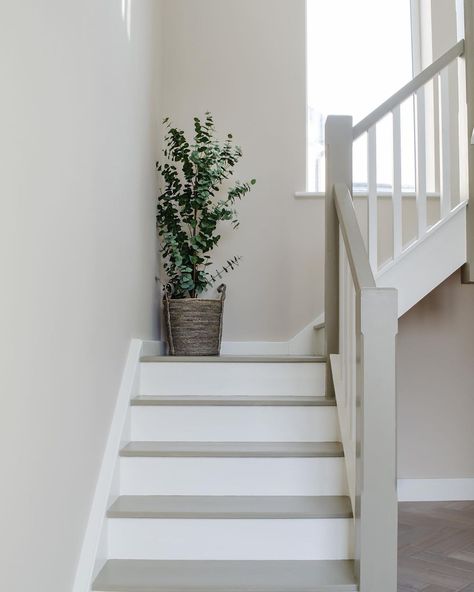 @geri_designs posted on their Instagram profile: “Very simple image from a recent new build design, but it’s pinned a lot on Pinterest - I guess it’s…” Stairs Painted White, Geri Designs, Grey Painted Stairs, Stairs Makeover Ideas, Stairs Colours, White Beadboard, Stair Makeover, Build Design, Stair Remodel