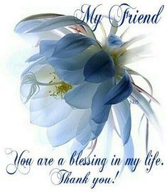 My friend you are a blessing in my life friendship quote hello friend friendship quote friend quote poem thinking of you graphic friend poem Dear Friend Quotes, Jw Quotes, Special Friendship Quotes, Spiritual Person, Inspirational Scriptures, Special Friend Quotes, Friendship Images, Thinking Of You Quotes, Friend Poems