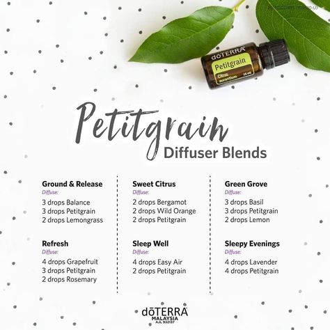 Perhaps one of the greatest benefits of Petitgrain oil is its ability to promote relaxing feelings😉 Due to its chemical makeup, Petitgrain essential oil can be helpful in creating a calm, relaxed environment to promote feelings of relaxation. If you have no idea where to start to blend your Petitgrain, try out these diffuser blend recipes! #essentialoils #Petitgrain Petitgrain Diffuser Blends, Petitgrain Essential Oil Blends, Spiritual Essentials, Essential Oil Combos, Sleeping Essential Oil Blends, Petitgrain Essential Oil, Esential Oils, Doterra Diffuser Blends, Doterra Oil