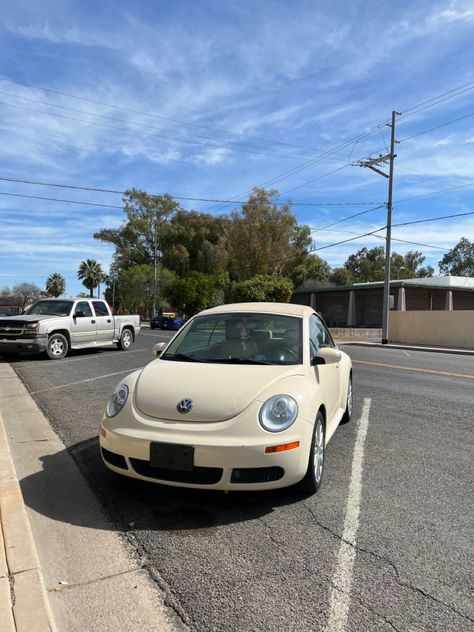 Volts Wagon Beetle, Volkswagen Beetle Decor, Punch Buggy, 1st Car, Volkswagen Beetles, Volkswagen Beetle Convertible, Vw New Beetle, Bug Car, Volkswagen New Beetle