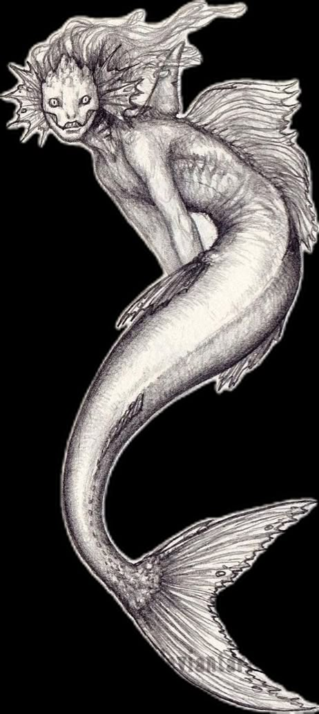 Realistic Siren Drawing, Scary Mermaid Drawing, Pink Mermaid Drawing, Sirens Sketch, Mythical Sea Creatures Drawing, Siren Drawing Sketches, Angry Mermaid, Mythical Creatures Mermaid, Mermaid Drawing Reference