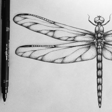 Dragonfly Sketch, Pointillism Tattoo, Bow Tattoo Designs, Dragonfly Drawing, Dragonfly Tattoo Design, Insect Tattoo, Bow Tattoo, Carpe Koi, Tattoo Graphic