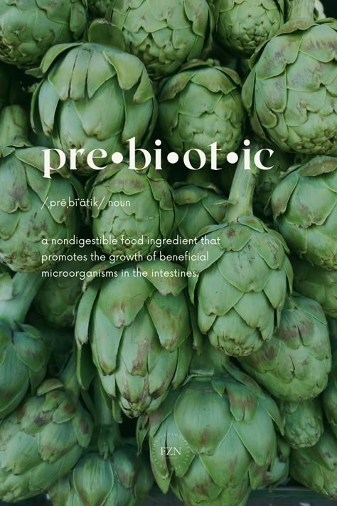 Prebiotics definition is nondigestable food ingredients that promotes the growth of beneficial microorganisms in the intestines. Food As Medicine Aesthetic, Holistic Health Aesthetic, Nutrition Photography, Nutrition Aesthetic, Health Branding, Asparagus Garlic, Nutrition Lifestyle, دورة شهرية, Natural Probiotics