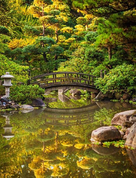 Day Trips From Chicago, Travel Illinois, Illinois Travel, Rockford Illinois, Midwest Living, Travel Culture, Midwest Travel, Culture Food, Japanese Gardens