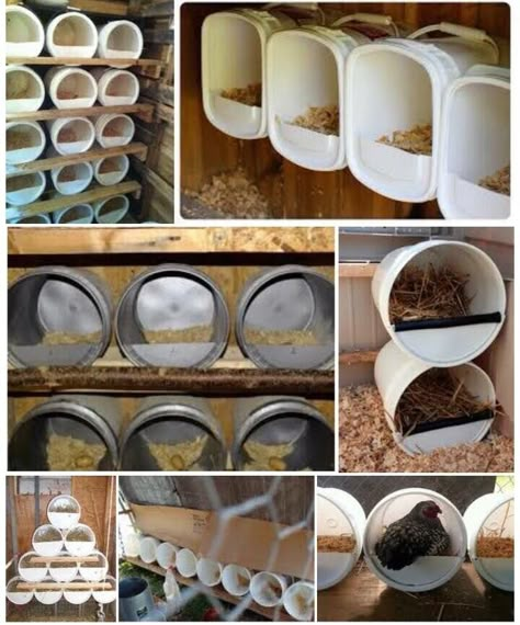 Goose Nesting Box Ideas, Easy Chicken Nesting Box Ideas, Roll Out Nesting Boxes Diy, Diy Rollout Nest Boxes, Chicken Nesting Box Ideas, Roll Out Nesting Boxes For Chickens, Easy Clean Nesting Boxes, Chicken Coop Garden, Chicken Shed