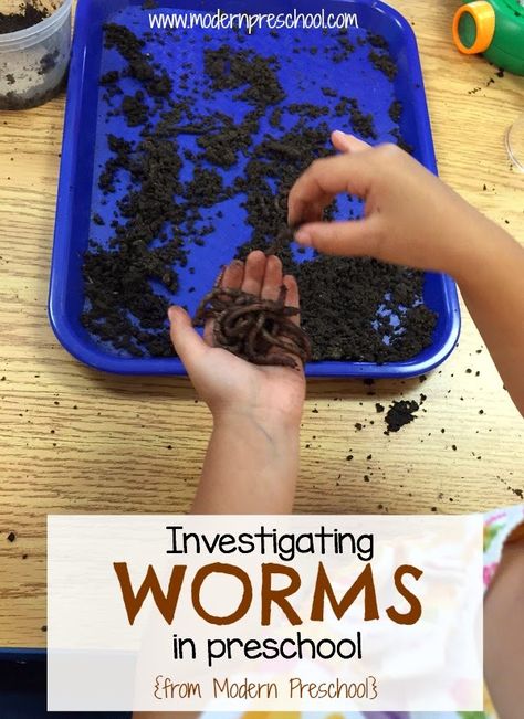 Hands-on preschool learning with real worms - science, math, literature skills included - from Modern Preschool Worms And Dirt, Worms Preschool, Worm Science, Modern Preschool, Make A Rocket, Math Literature, April Preschool, Pre-k Science, Spring Themes