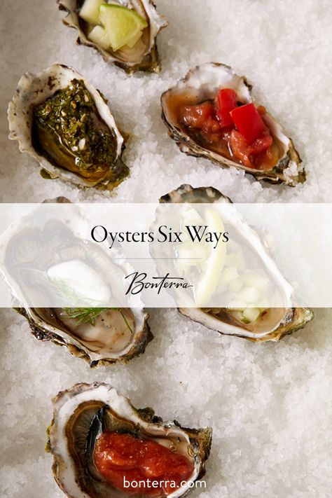 Not many things pair better with a plate of raw oysters than our beautifully crisp Sauvignon Blanc. Bring out the superb brightness of ripe citrus peel and mineral notes with our 6 recipes for dressing your favorite seafood, using fresh, organic ingredients. Raw Seafood Platter, Oyster Toppings Raw, Raw Oyster Sauce Recipes, Oyster Recipes Raw, Raw Oyster Toppings, Fresh Oyster Recipes, Oyster Toppings, Springtime Meals, Seafood Dressing Recipe