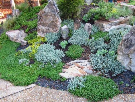 Groundcover Ideas for Sunny Areas | Tips and Tricks for a Greener Thumb Hill Landscaping Ideas Backyard Sloped Yard, Sloped Yard Landscaping Ideas, Sloped Yard Landscaping, Side Landscaping, Succulent Landscaping Front Yard, Grass Alternative, Mailbox Landscaping, Oregon Landscape, Sloped Yard