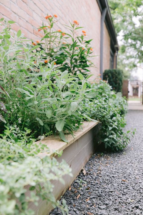 Flower Bed Patio, Raised Kitchen, Type Of Plants, Wood Garden Beds, Backyard Raised Garden, Raised Flower Bed, Bed Layout, Raised Garden Beds Diy Vegetables, Garden Bed Layout