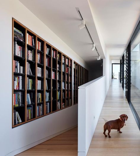 Audrey the Dachshund demonstrates one of the ramps that give her free rein of the house. Ramp And Stairs Architecture, Library Design Ideas, Ramps Architecture, Home Library Design Ideas, Accessible House, Ramp Stairs, Ramp Design, Stairs Architecture, Dog Ramp