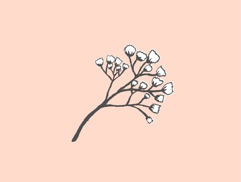 Angels Breath Flowers Tattoo, Babys Breath Tatoos, Baby Breath Drawing, Baby's Breath Flower Drawing, Baby’s Breath Drawing, Baby's Breath Drawing, Gypsophila Illustration, Baby's Breath Painting, Boutique Logo Design